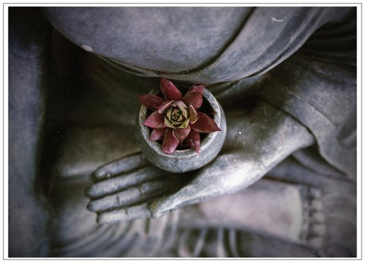 Hand in pictures note card variety pack. 10 beautiful hand pictures!