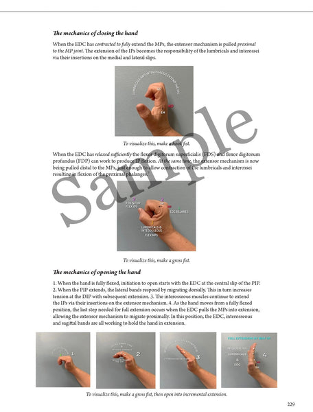 Everyday Anatomy 2nd Edition! 0.9 free CEUs! REGULAR NON-VENMO PRICING:SOLD OUT