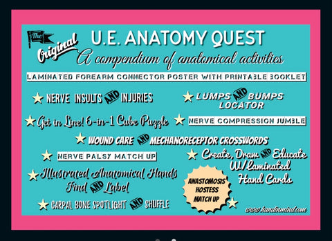Anatomy Quest games and activities! Part of the everyday anatomy package, NOT FOR SEPARATE ORDER